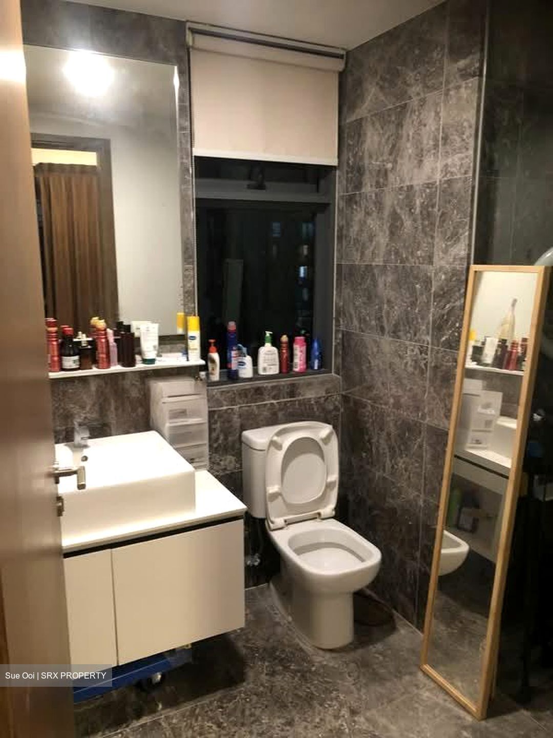 Parc Centros (D19), Condominium #557465441